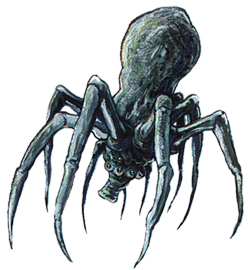 Datei:Knobby Spider.jpg