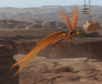 Datei:Tatooine-Insekt.jpg