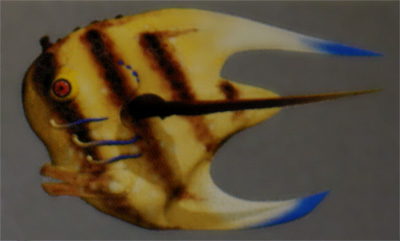 Datei:Mee-Fisch.jpg