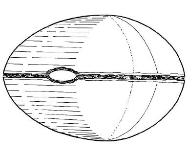 Datei:Torpedosphaere.jpg