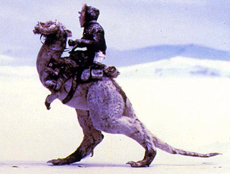 Datei:Tauntaun.jpg